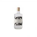 gin_napur